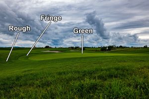 Golf Course Green Fringe And Rough